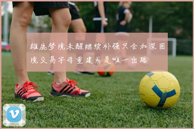 雄鹿梦境未醒继续补强只会加深困境交易字母重建或是唯一出路